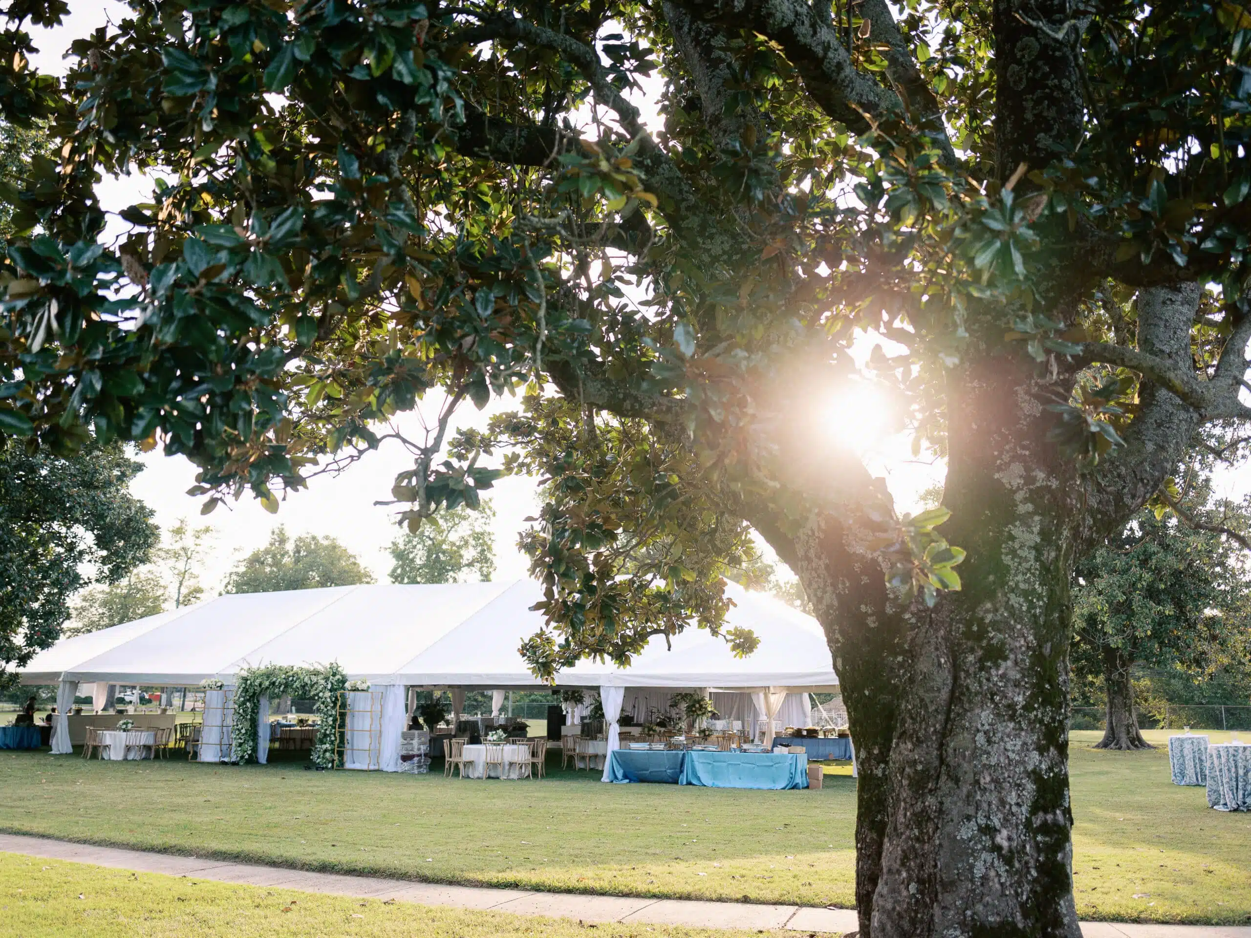 Tent under a tree at sunset